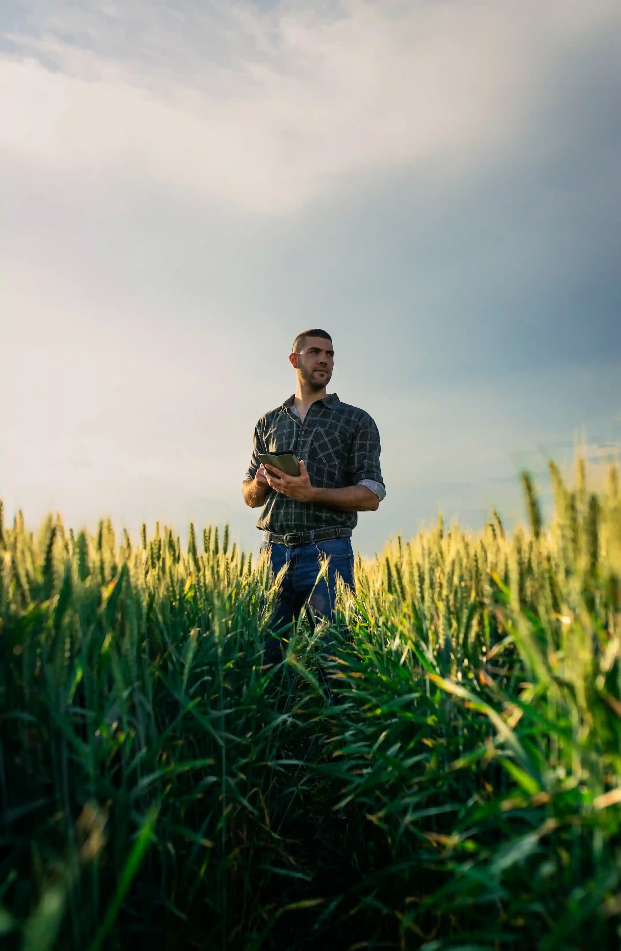 farmer standing in field